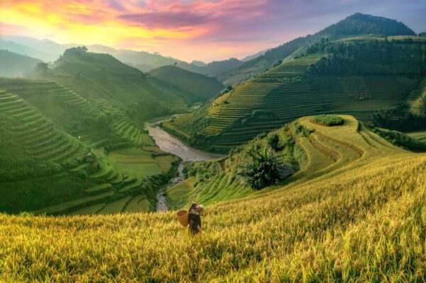 Things to Do in Vietnam