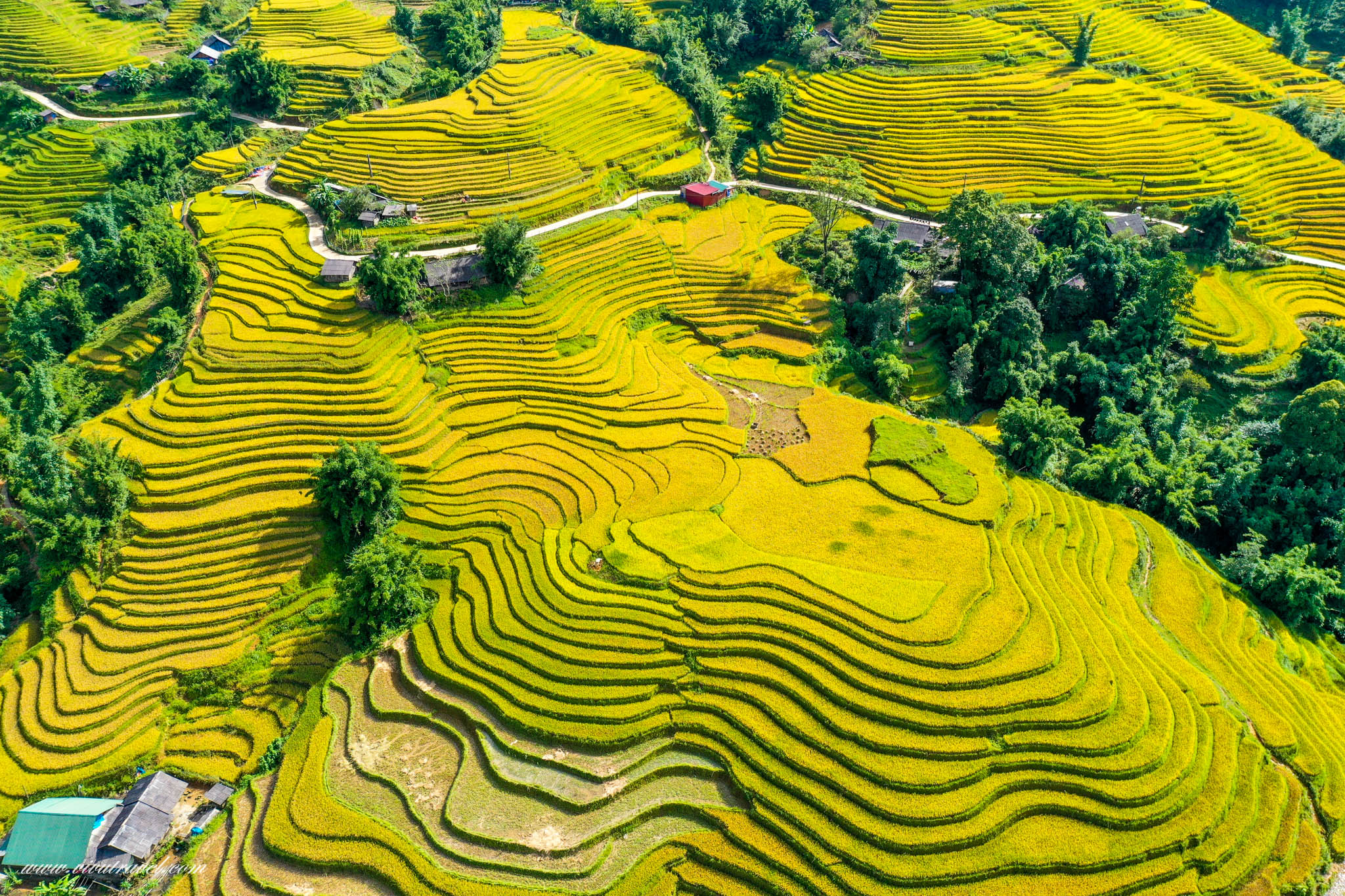 Best Time to Visit Vietnam
