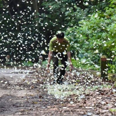 Vietnam in April 