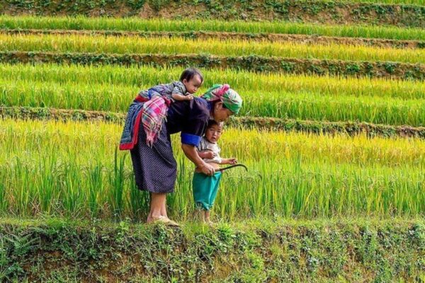 Northern Vietnam 6 Day Itinerary