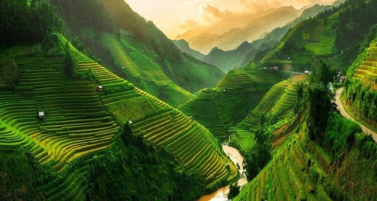 Vietnam in July