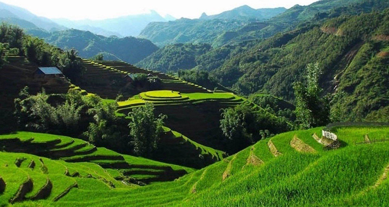 Best Times to Visit Sapa