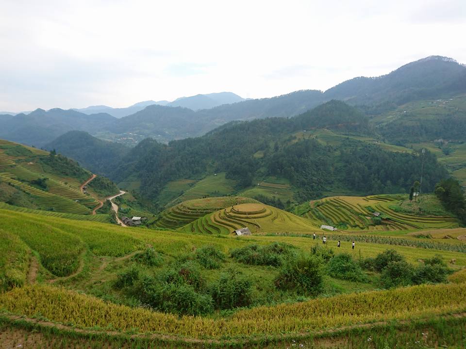 Best Times to Visit Sapa Vietnam