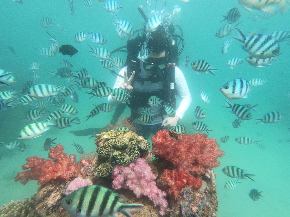 Phu Quoc snorkeling and diving