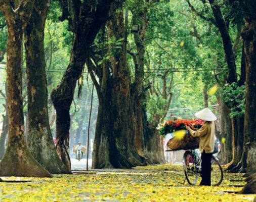 8 Day Vietnam Itinerary Central to North
