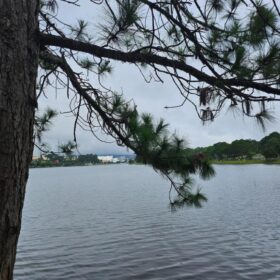 Things to Do in Da Lat
