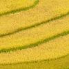 Best of Nature in Northern Vietnam 8 Days