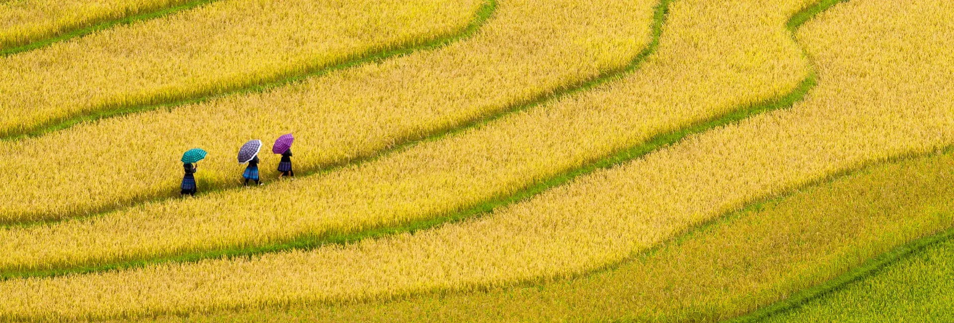 Best of Nature in Northern Vietnam 8 Days