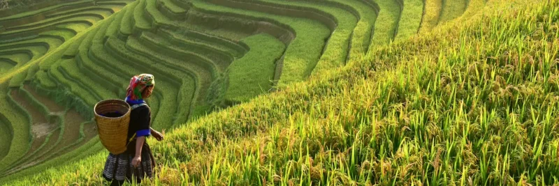 Best Cultural & Heritage Vietnam 12 Days