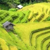 Best of Nature in Northern Vietnam 7 Days