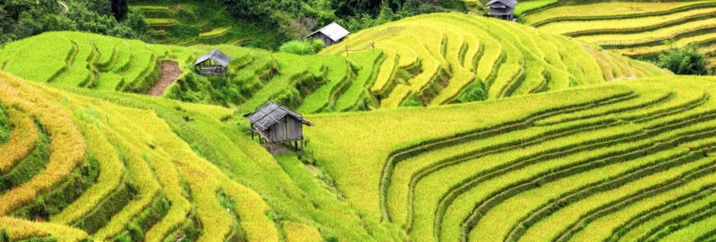 Best of Nature in Northern Vietnam 7 Days
