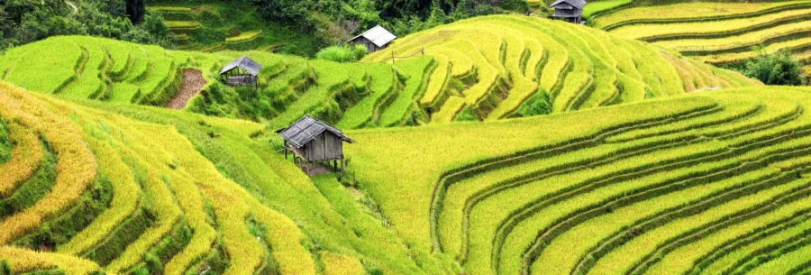 Best of Nature in Northern Vietnam 7 Days