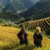 Sapa Off-Beaten Trek & Homestay 3 Nights