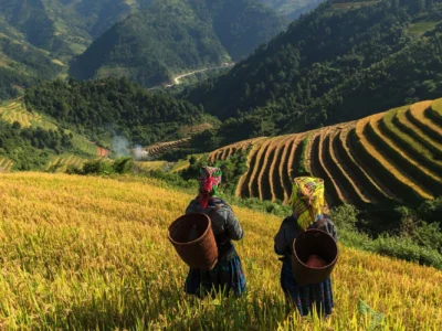 Sapa Off-Beaten Trek & Homestay 3 Nights
