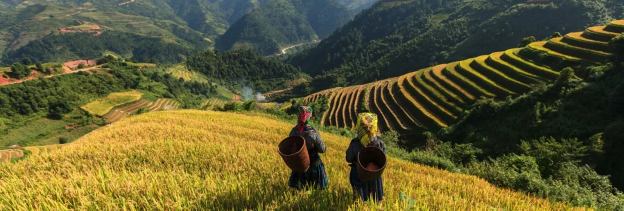 Sapa Off-Beaten Trek & Homestay 3 Nights