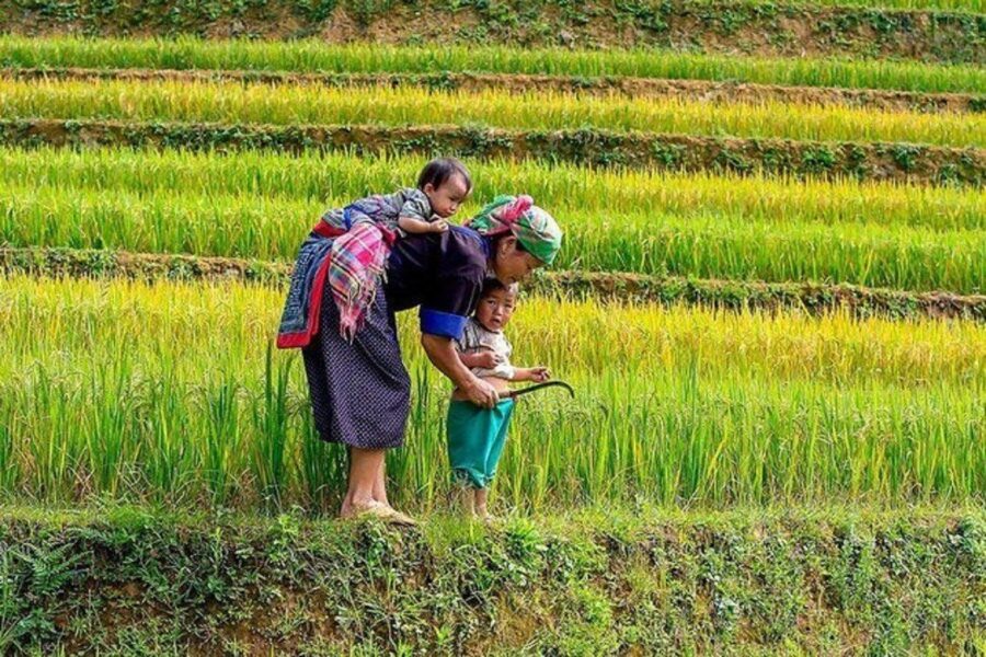 Northern Vietnam 6 Day Itinerary