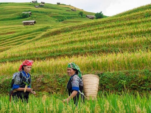 Northern Vietnam 6 Day Itinerary