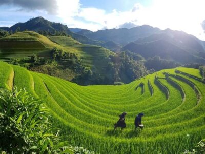 Vietnam 11-Day Tour