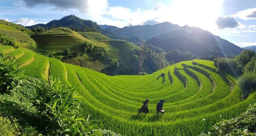 Vietnam 11-Day Tour