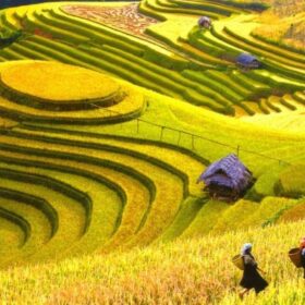 Vietnam in June
