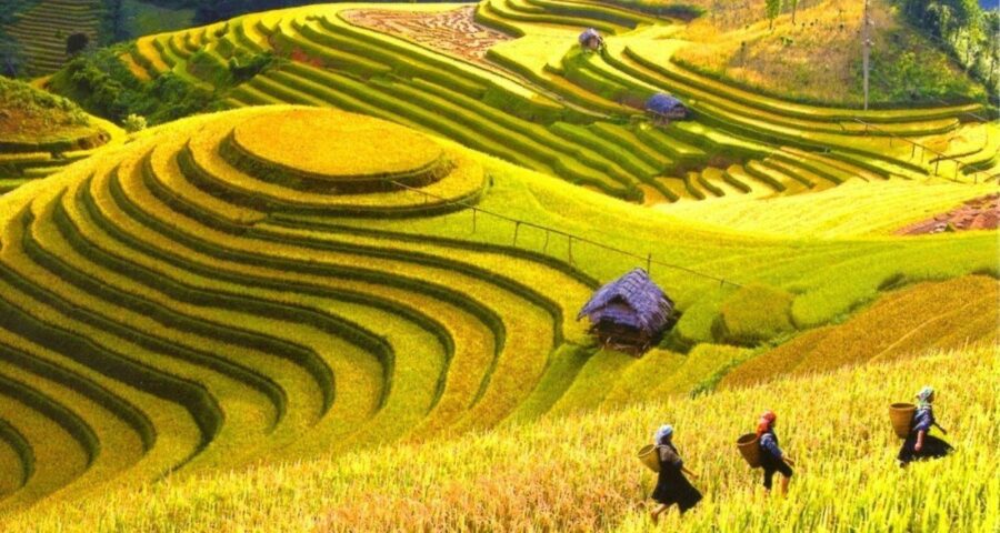Northern Vietnam 6 Day Itinerary