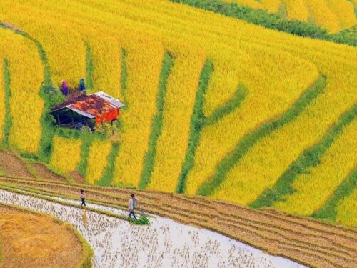 Northern Vietnam 6 Day Itinerary