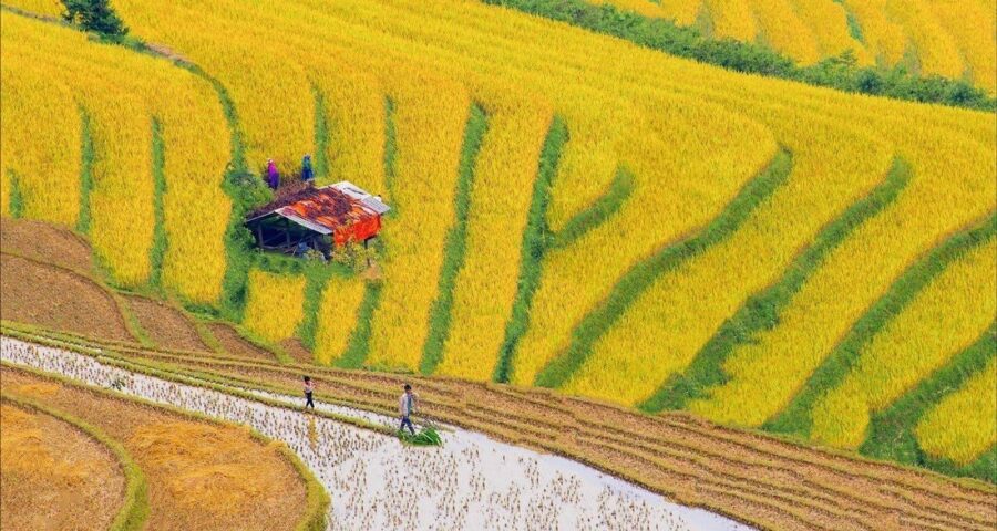 Northern Vietnam 6 Day Itinerary
