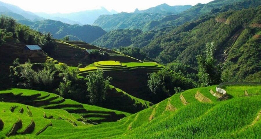 Best Times to Visit Sapa