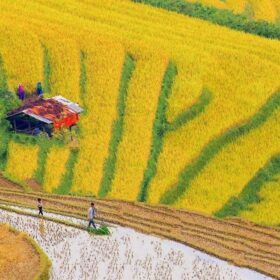 How to Get to Sapa from Hanoi