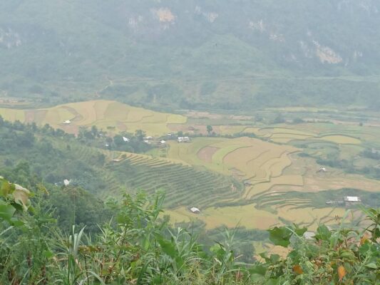 Muong Hoa Valley