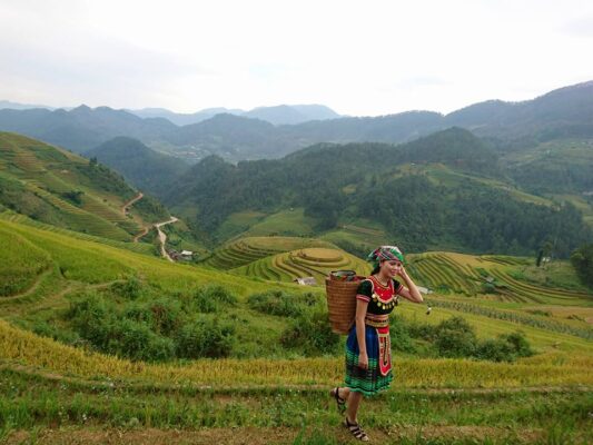 Sapa Bus Tickets from Hanoi