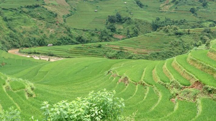 Best Times to Visit Sapa Vietnam