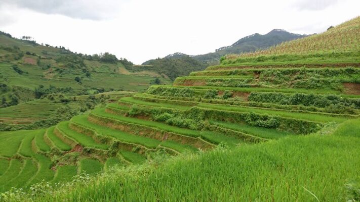 Things to Do in Sapa