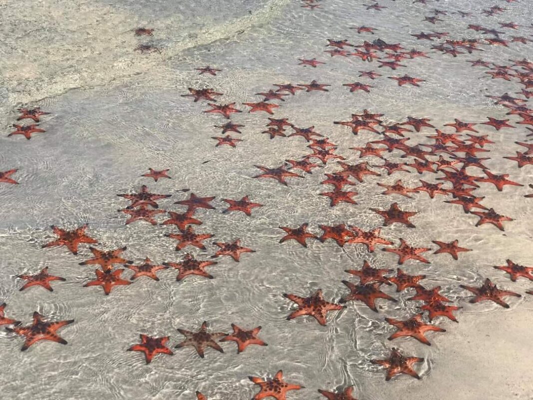 Phu Quoc snorkeling and diving